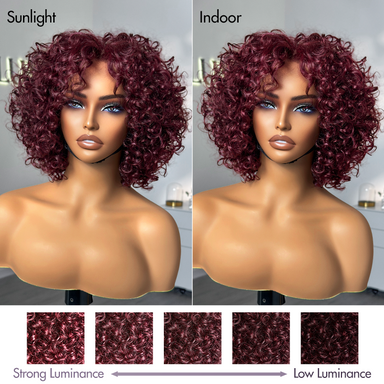 Trendy Burgundy Curly Bob Glueless Minimalist Lace T Part Wig 100% Human Hair - 99J