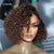 Soft-Shine Mocha Mousse Ombre - Fluffy Kinky Curl Glueless Minimalist HD Lace Wig Ready to Go