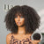 Melted Hair Natural Black Jerry Curl Wig Glueless Minimalist Lace Wig