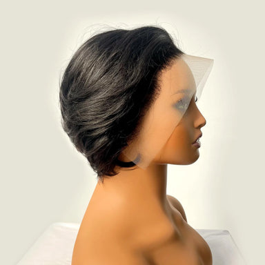 Trending Now | Highlight Glueless HD Lace 13x4 Frontal Wig by Seely Pre-Cut