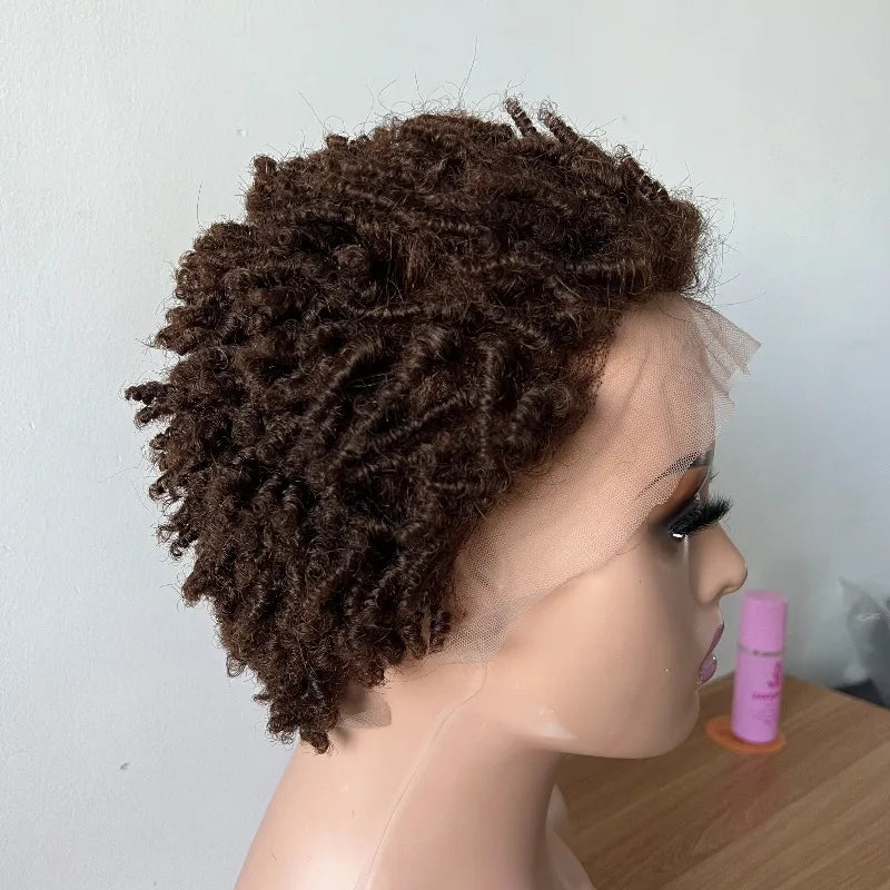 Curl Goals | 180% Density Kinky Curly Glueless HD Lace 13x4 Frontal Wig