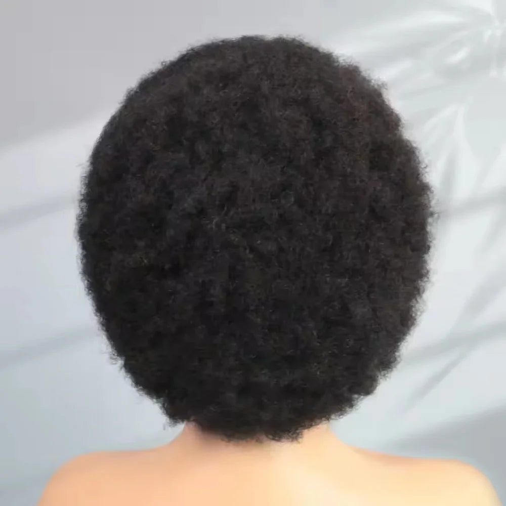 Curl Goals | 200% Density Kinky Curly Glueless HD Lace 13x4 Frontal Wig