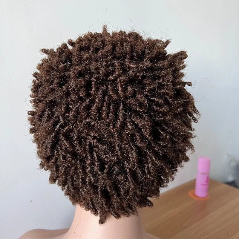 Curl Goals | 180% Density Kinky Curly Glueless HD Lace 13x4 Frontal Wig