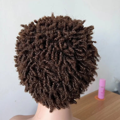Curl Goals | 180% Density Kinky Curly Glueless HD Lace 13x4 Frontal Wig
