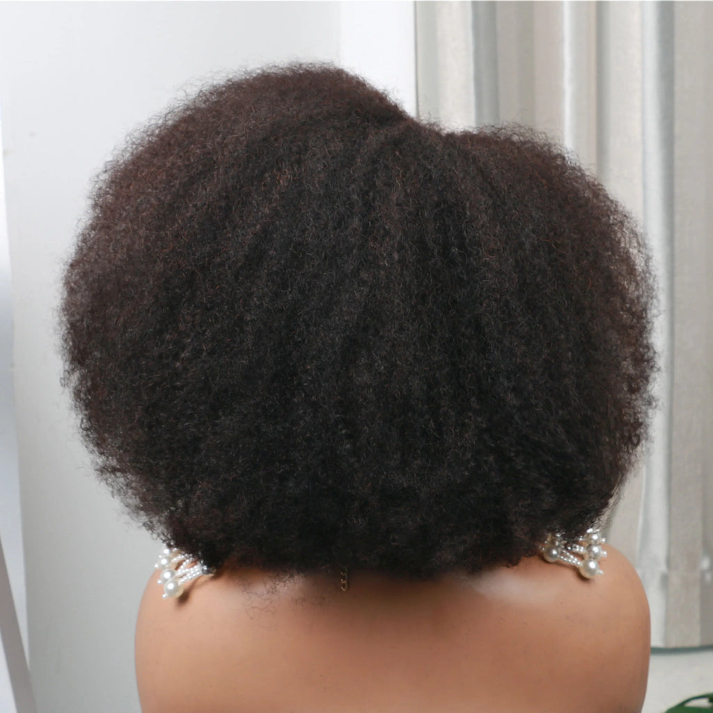 Natural Kinks | 250% High Density Kinky Curly Glueless HD Lace 13x4 Frontal Wig