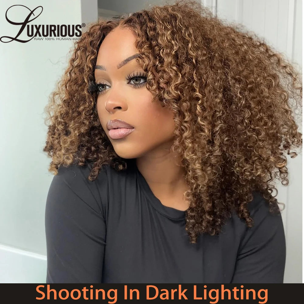 Trending Now | Honey Brown Highlight 250% High Density Highlight Glueless HD Lace 13x4 Frontal Wig