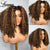 Trending Now | Honey Brown Highlight 250% High Density Highlight Glueless HD Lace 13x4 Frontal Wig