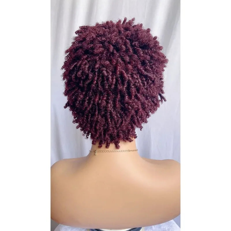 Statement Look | Burgundy 99J Glueless HD Lace 13x4 Frontal Wig by GlamChicC