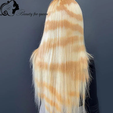 Classic Silk | Straight Glueless HD Lace 13x4 Frontal Wig Pre-Cut