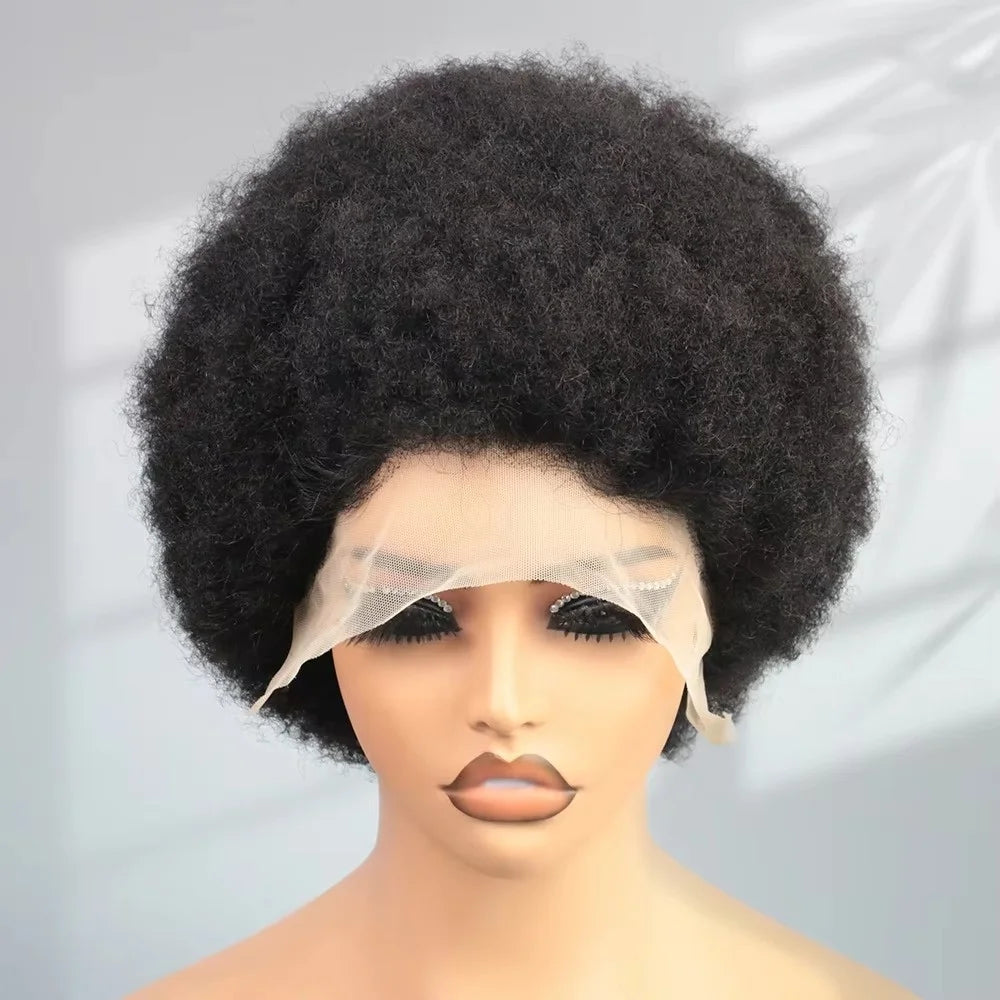 Curl Goals | 200% Density Kinky Curly Glueless HD Lace 13x4 Frontal Wig