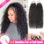 Kinky Curly Crochet Braiding Hair Extensions — 100% Human Hair