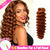 Ginger Kinky Curly Crochet Braiding Hair Extensions — 100% Human Hair