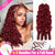 Melted Hair 99J Burmese Curly Knotless Pre-Separated Crochet Hair Extensions For Braids Feather Line 100% Human Hair Burgundy Color 18-24inch