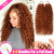 Ginger Kinky Curly Crochet Braiding Hair Extensions — 100% Human Hair